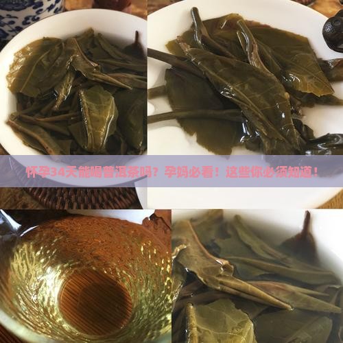 怀孕34天能喝普洱茶吗