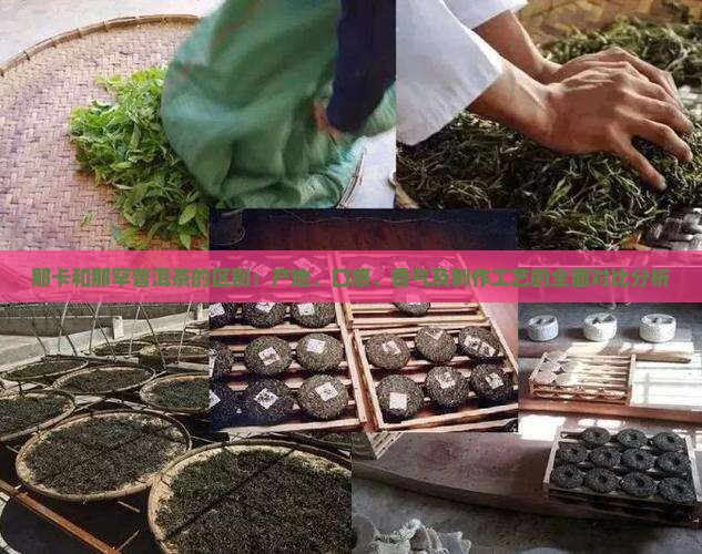 那卡和那罕普洱茶的区别
