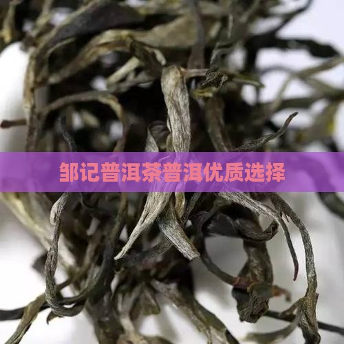 邹记调味普洱茶