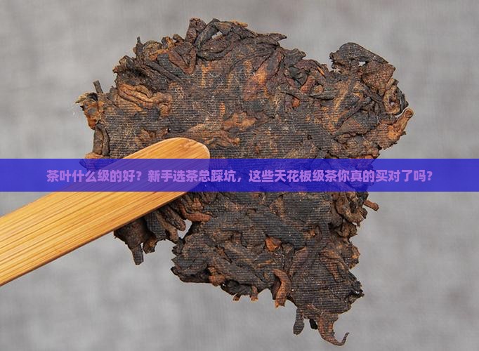 茶叶什么级的好