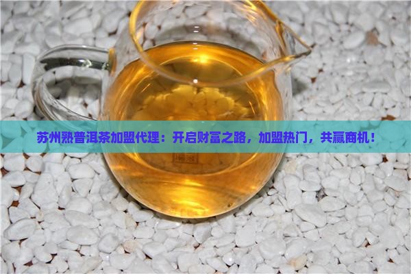 苏州熟普洱茶品牌加盟代理