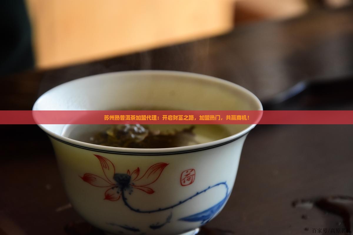 苏州熟普洱茶品牌加盟代理