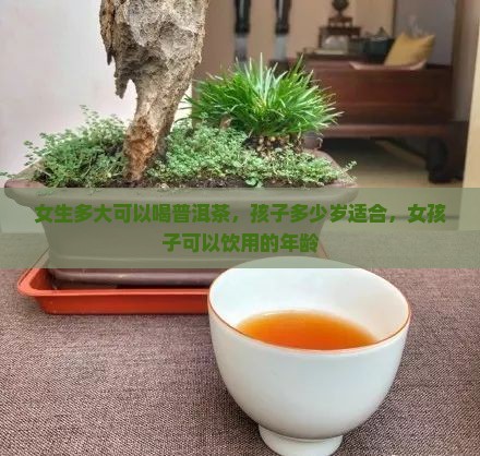 女生多大可以喝普洱茶