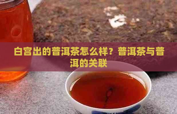 白宫出的普洱茶好吗