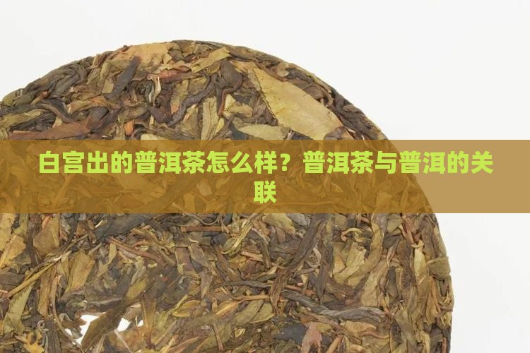 白宫出的普洱茶好吗