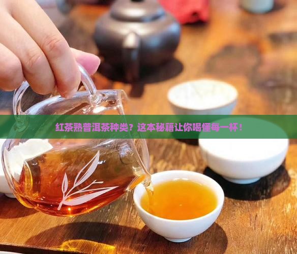 红茶熟普洱茶种类