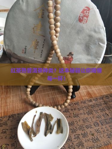 红茶熟普洱茶种类