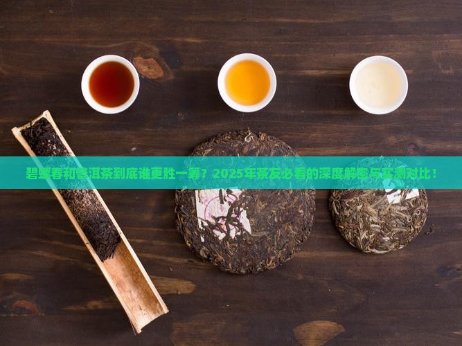 碧螺春茶和普洱茶哪个好