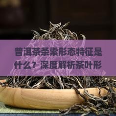 普洱茶条索形态特征是什么