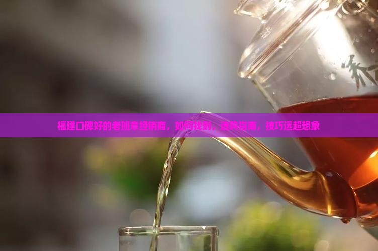 福建口碑好的老班章经销商