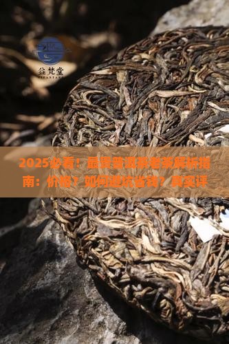 最贵普洱茶老茶