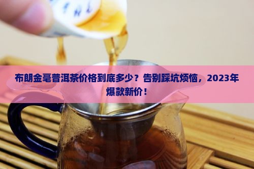 布朗金毫普洱茶价格