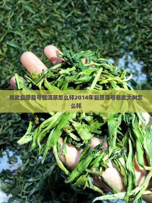 易武复原昌号普洱茶怎么样