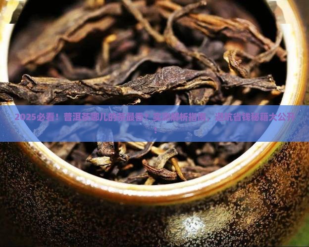 普洱茶哪儿产的好茶