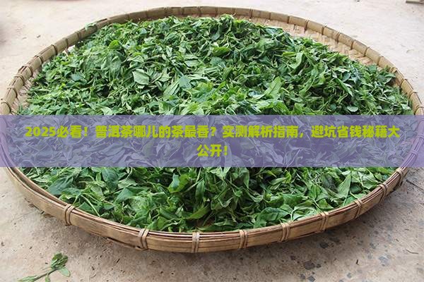 普洱茶哪儿产的好茶