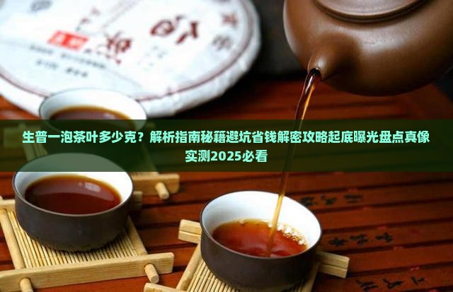 生普一泡茶叶多少克