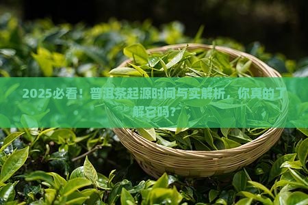 普洱茶的起源时间