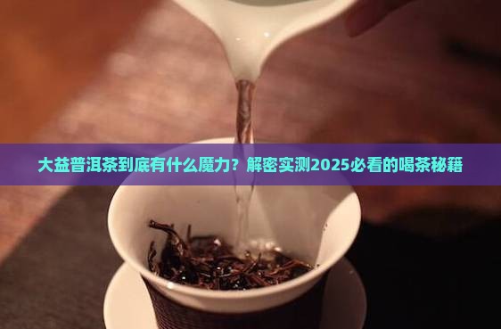 大益普洱茶是做什么的