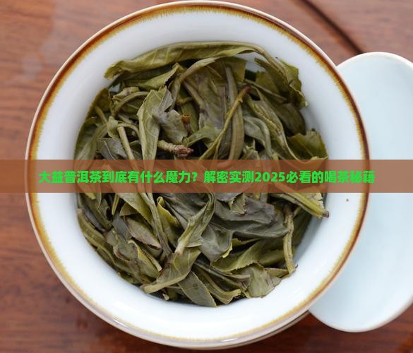 大益普洱茶是做什么的