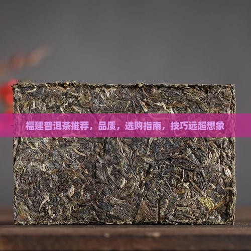 福建普洱茶品牌推荐
