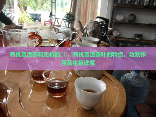 有机普洱茶和无机的區別