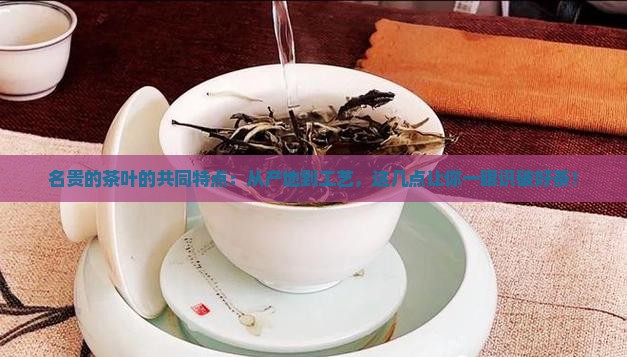 名贵的茶叶的共同特点