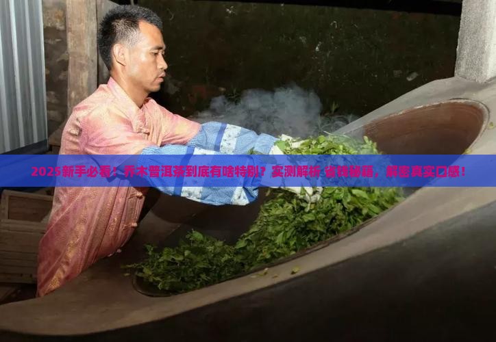 乔木普洱茶是什么意思