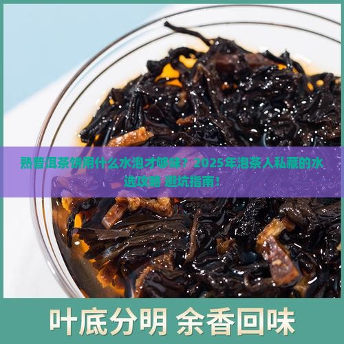 熟普洱茶饼用什么水泡好