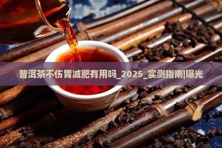 普洱茶不伤胃减肥有用吗