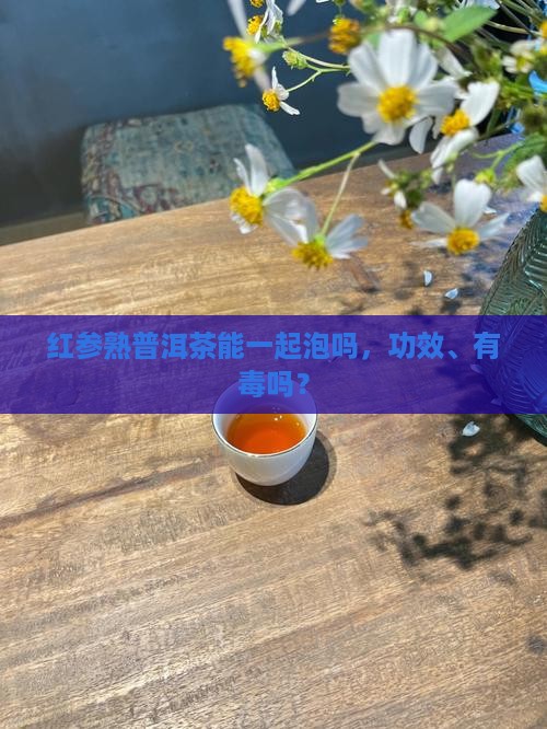 红参熟普洱茶能一起泡吗
