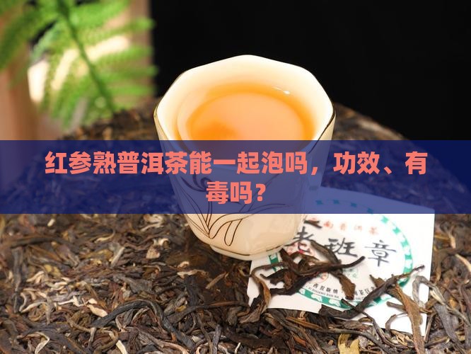 红参熟普洱茶能一起泡吗