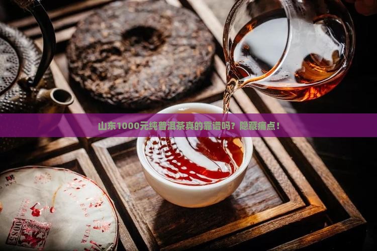 山东1000元纯普洱茶
