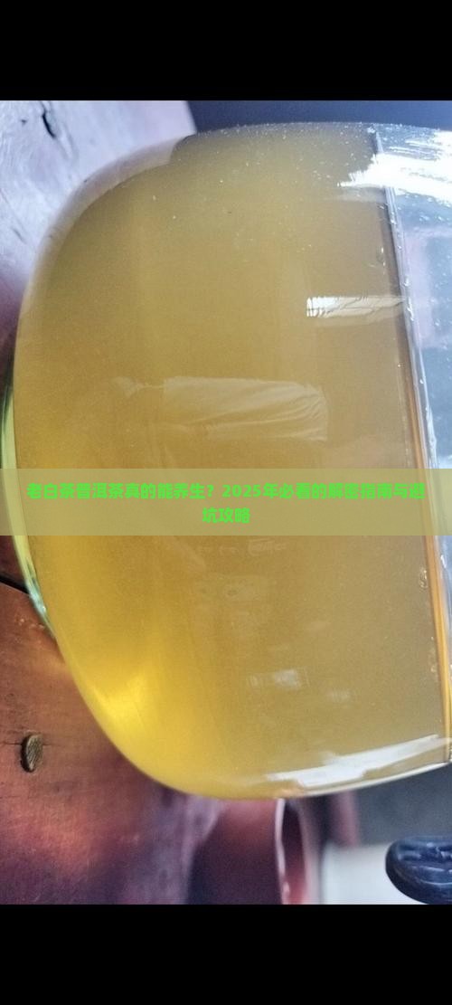 老白茶普洱茶的功效与作用