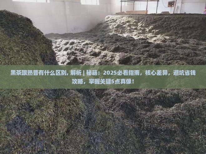 黑茶跟熟普有什么区别