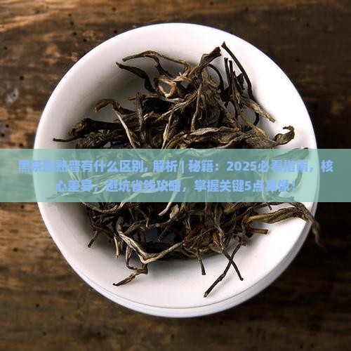 黑茶跟熟普有什么区别