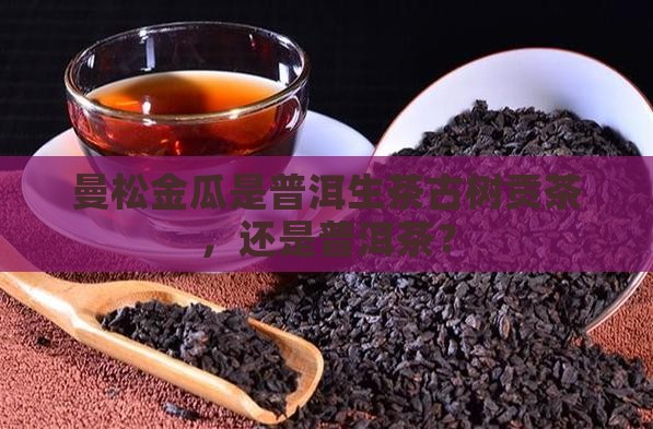 曼松金瓜是生茶么