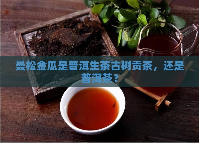 曼松金瓜是生茶么