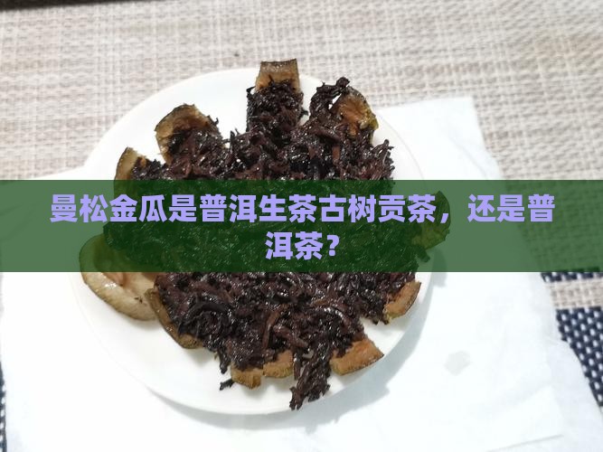 曼松金瓜是生茶么