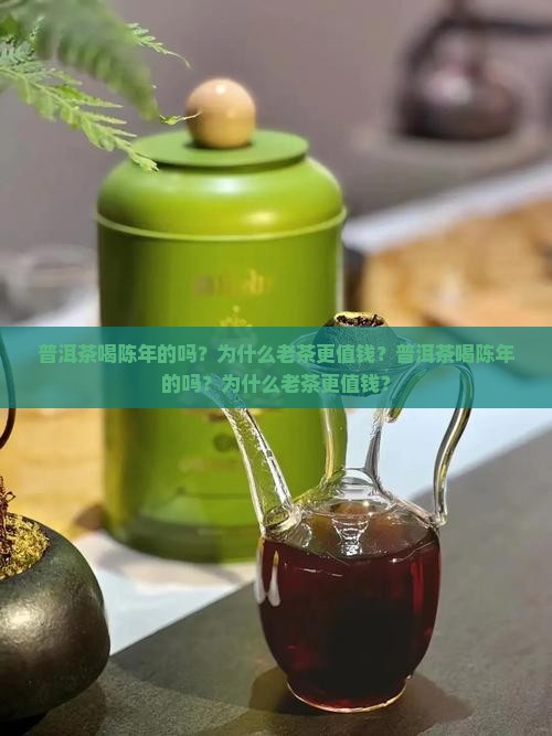 普洱茶喝陈年的吗