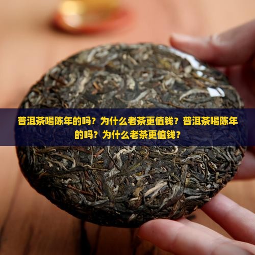 普洱茶喝陈年的吗