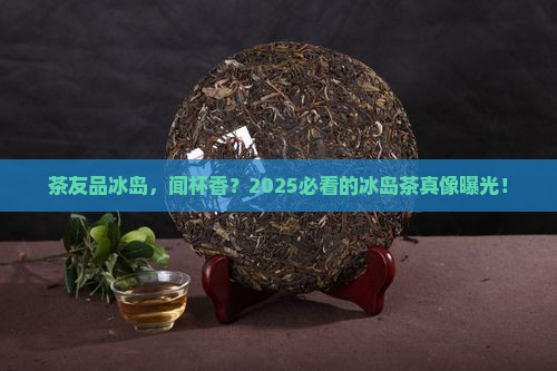 茶友品冰岛闻杯香