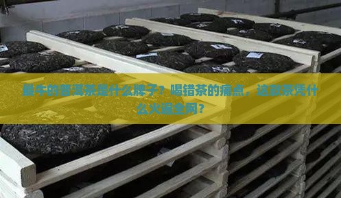 最牛的普洱茶是什么牌子