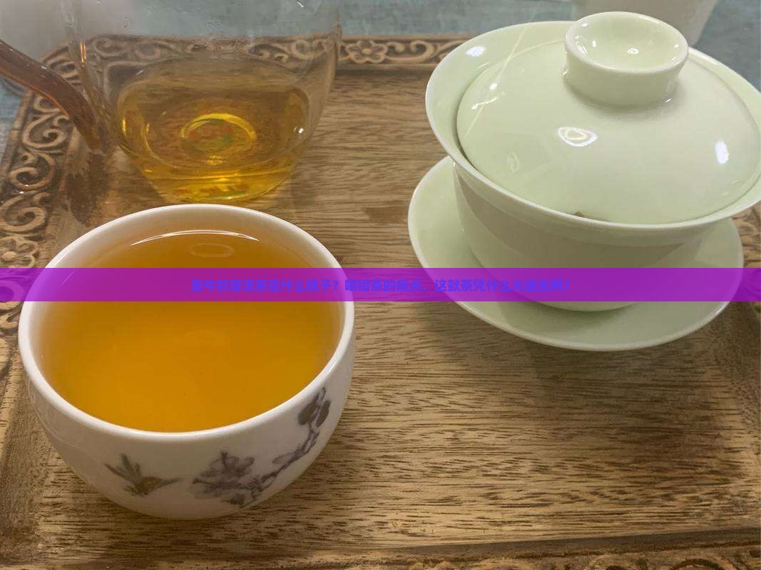 最牛的普洱茶是什么牌子