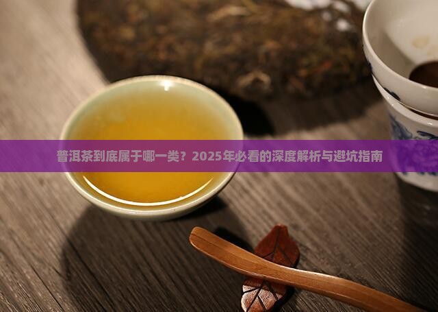 普洱茶目前归属于中国哪一类