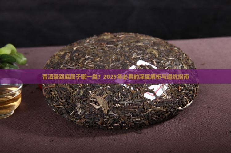 普洱茶目前归属于中国哪一类