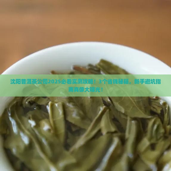 沈阳普洱茶公司