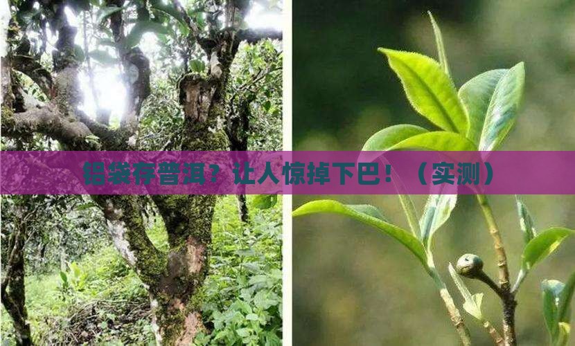 铝袋存放普洱茶