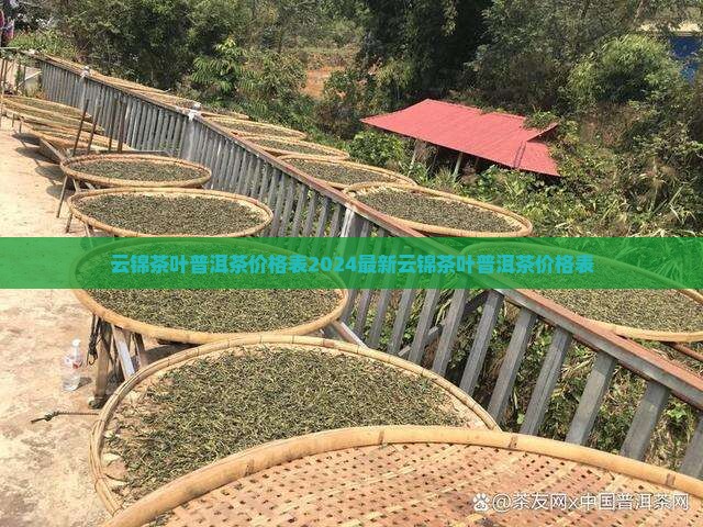 云锦茶叶普洱茶价格表