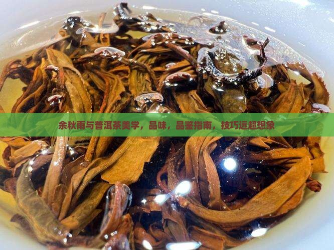 余秋雨与普洱茶美学