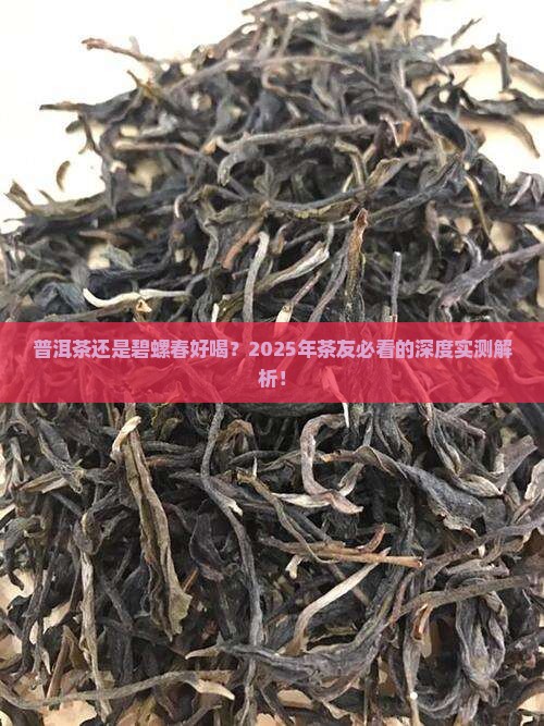 普洱茶还是碧螺春好喝些